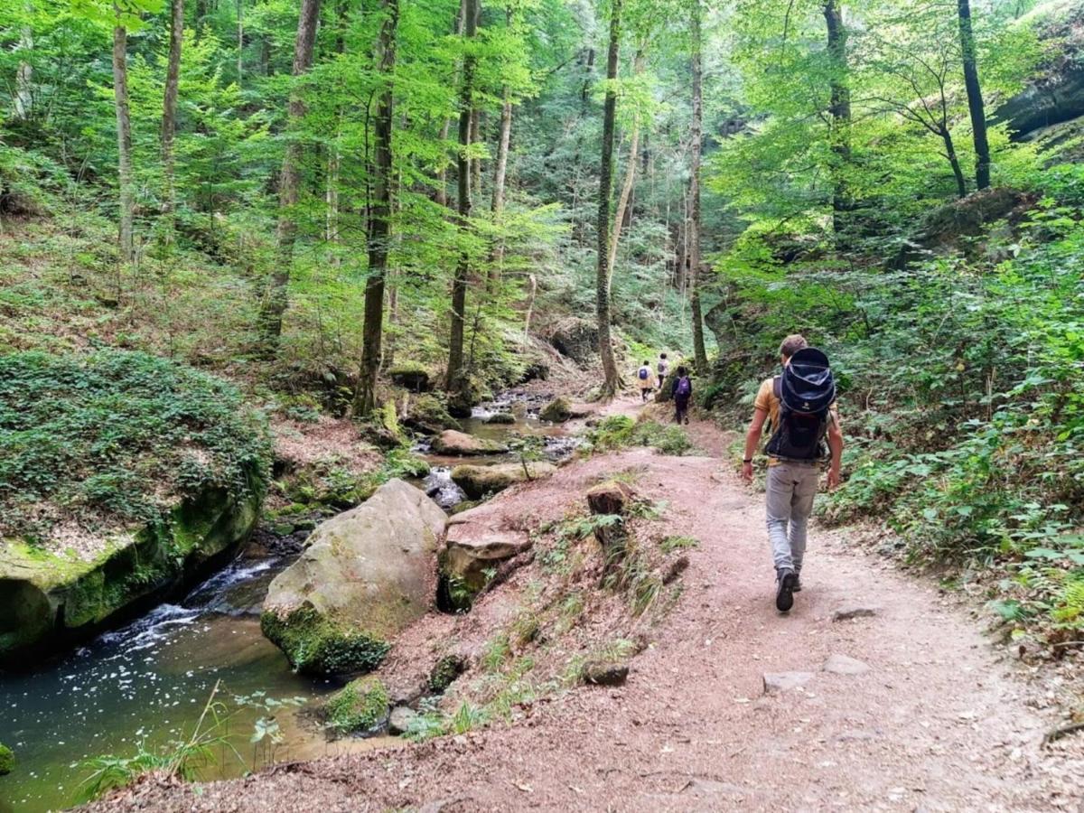 Nice Tent Lodge On A Campsite, Bordering The Forest, Luxembourg At 27 Km Medernach Exterior foto